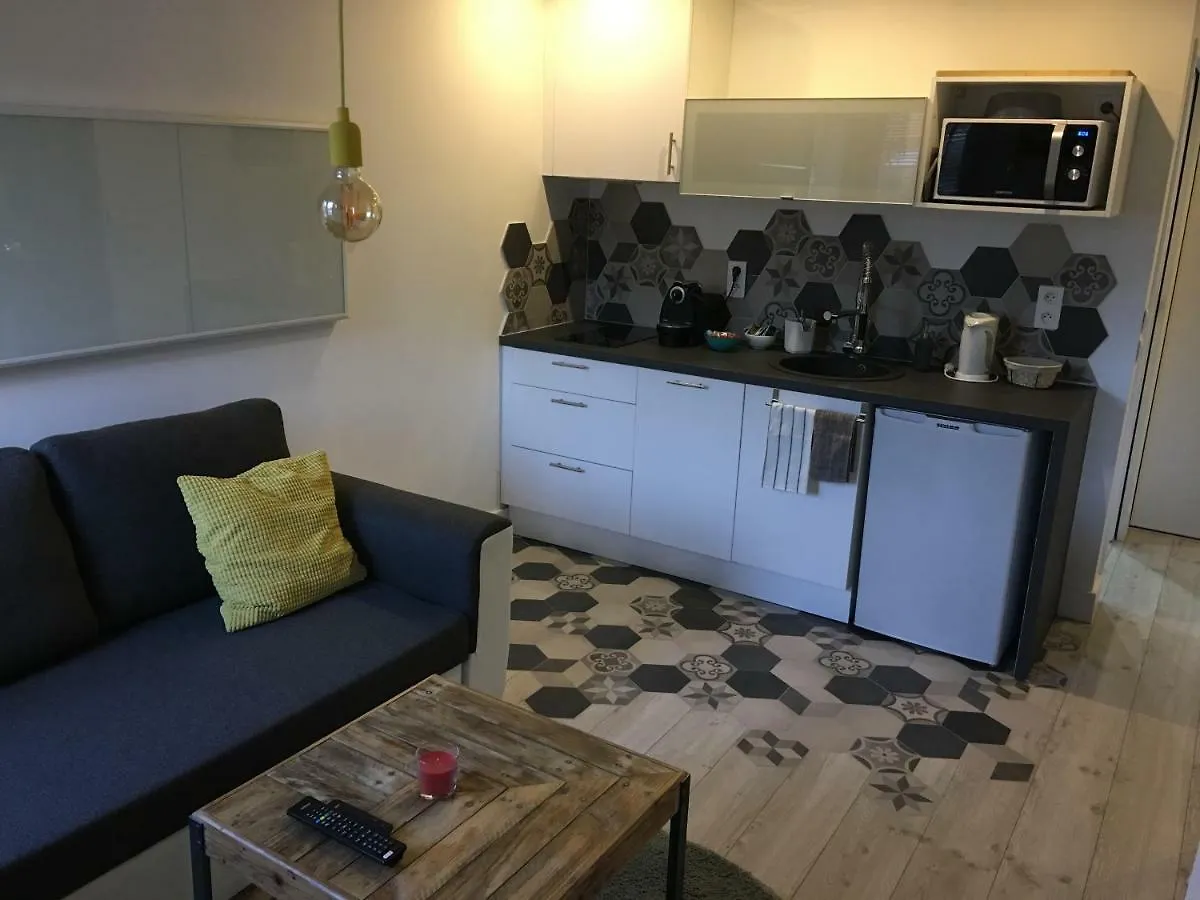 Lespinet Apartman Toulouse